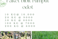 harga bibit rumput odot