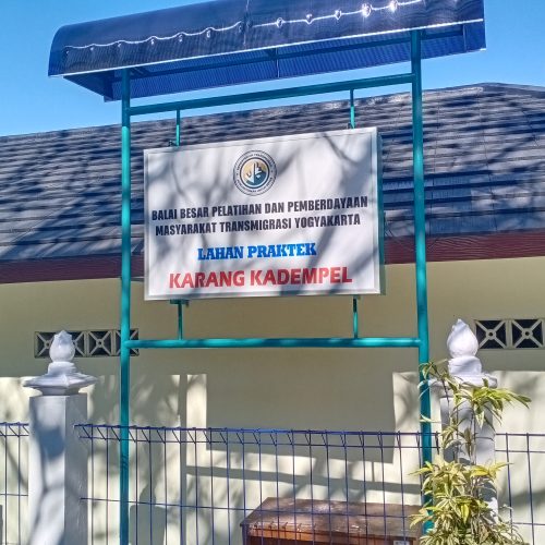 demplot karang kadempel cangkringan