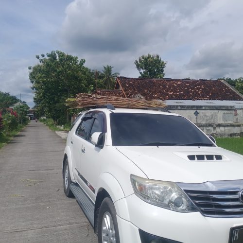 bibit ketela dimuat di mobil 