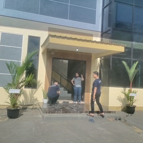 palem merah sebagai hadiah palem merah sebagai hadiah