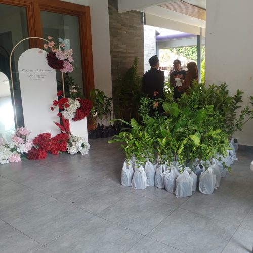 bibit buah jogja