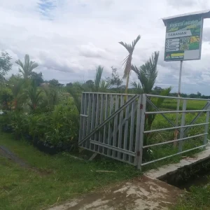 kantor vista agro