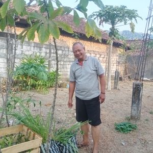 Tanaman Toga berhasil dikirim ke Piyungan Bantul